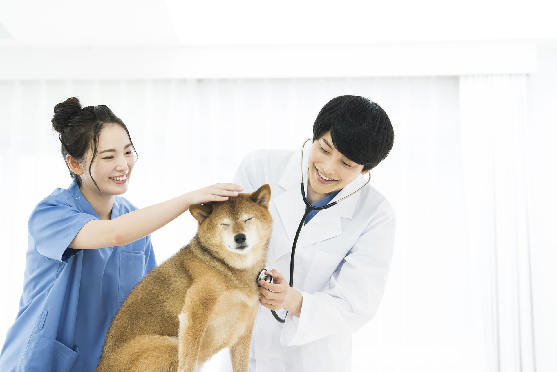 最短ルートで合格するためには計画が必要です